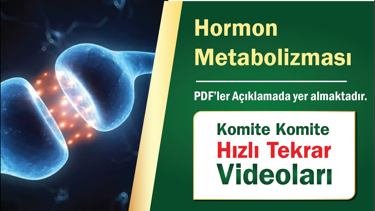Komite Komite Hızlı Tekrar I Hormon Metabolizması
